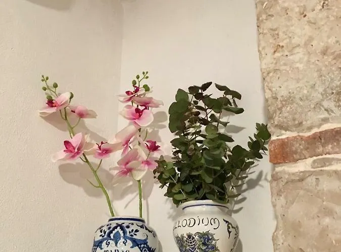 Apartman Plaza Stone